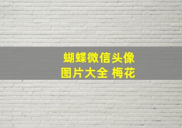 蝴蝶微信头像图片大全 梅花